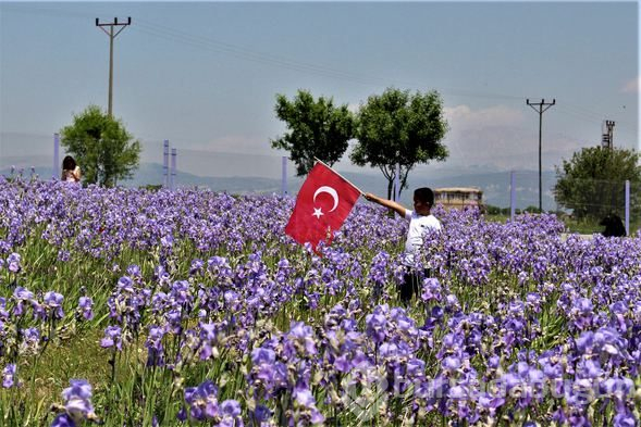 'Türkiye'nin gül bahçesi'ne turistlerden yoğun ilgi
