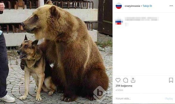 Rus kadın asker bunu yaptı, sosyal medya yıkıldı!

