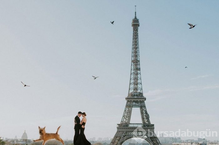 2019'un En İyi Nişan Fotoğrafları
