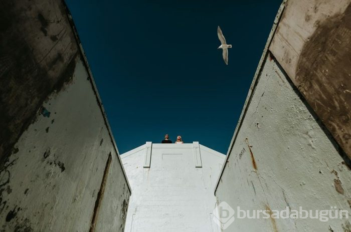 2019'un En İyi Nişan Fotoğrafları
