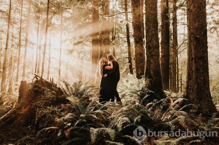 2019'un En İyi Nişan Fotoğrafları