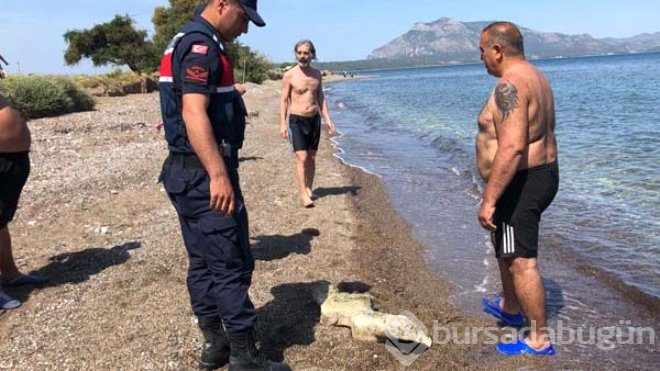 Denizde Yüzerken Fark Etti, Gördüğü Manzara Karşısında Şoke Oldu