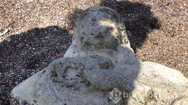 Denizde Yüzerken Fark Etti, Gördüğü Manzara Karşısında Şoke Oldu