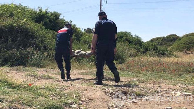 Denizde Yüzerken Fark Etti, Gördüğü Manzara Karşısında Şoke Oldu
