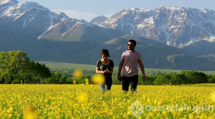 Düğün çiçekleri Ovacık'ı sarıya boyadı
