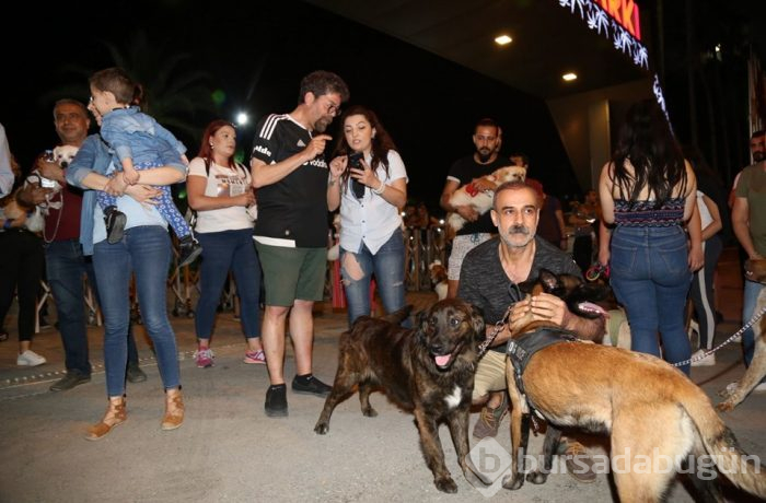 Evcil hayvan yasağını protesto ettiler