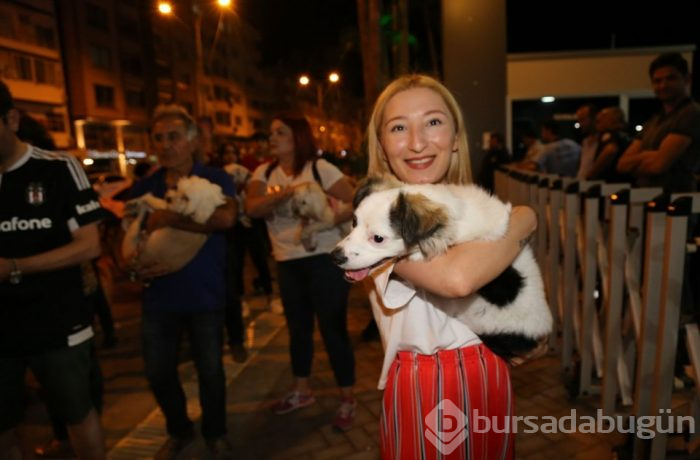 Evcil hayvan yasağını protesto ettiler