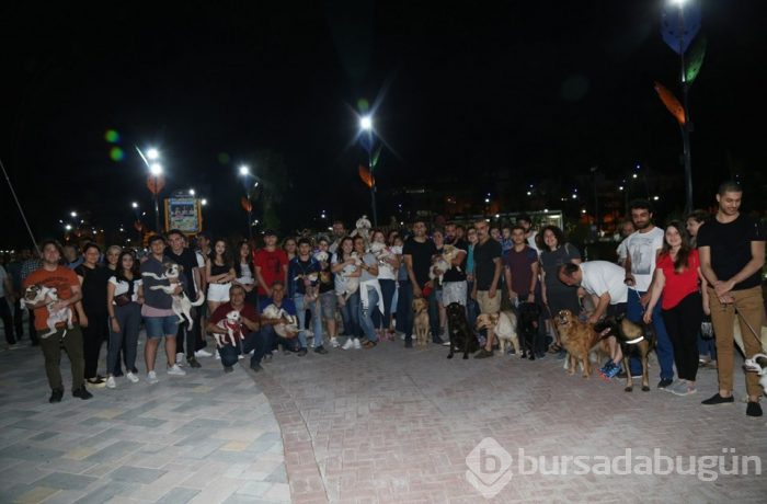 Evcil hayvan yasağını protesto ettiler