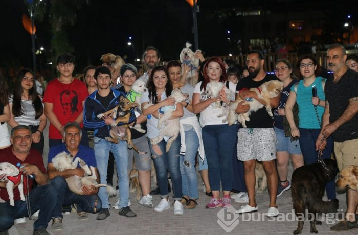 Evcil hayvan yasağını protesto ettiler