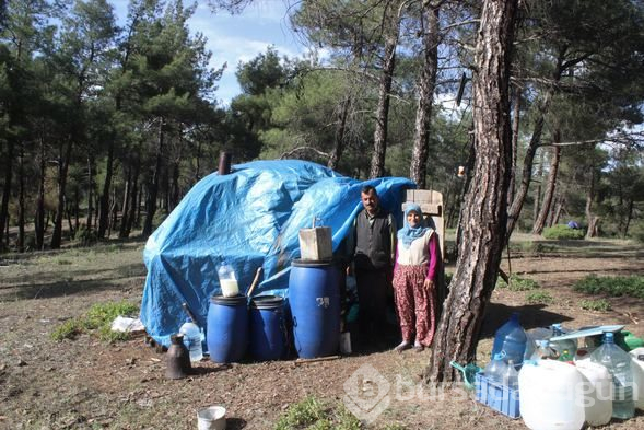 32 yıldır ormanda yaşıyorlar
