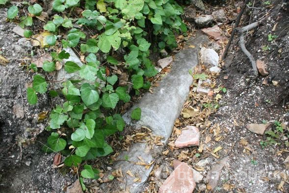 Yer: Bartın... İnsan iskeletleri bulundu!
