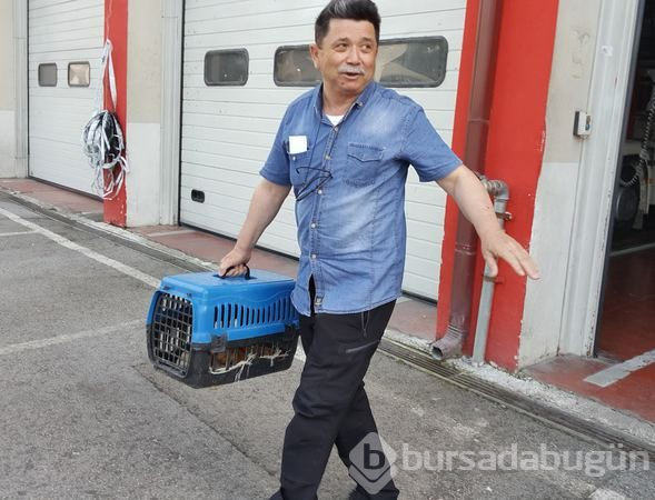 'Garip bir hayvan gördük' ihbarı harekete geçirdi
