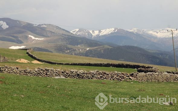 Çin Seddi değil Hacı Abdullah Duvarı
