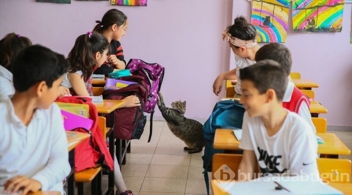 Öğrencilerin motivasyonu "Ateş" ile arttı
