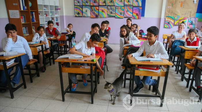 Öğrencilerin motivasyonu "Ateş" ile arttı

