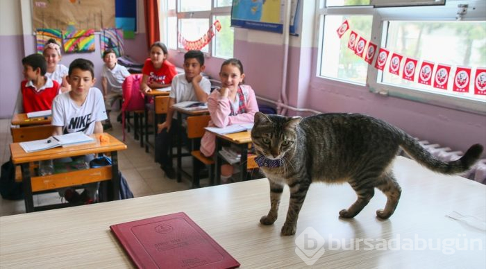 Öğrencilerin motivasyonu "Ateş" ile arttı
