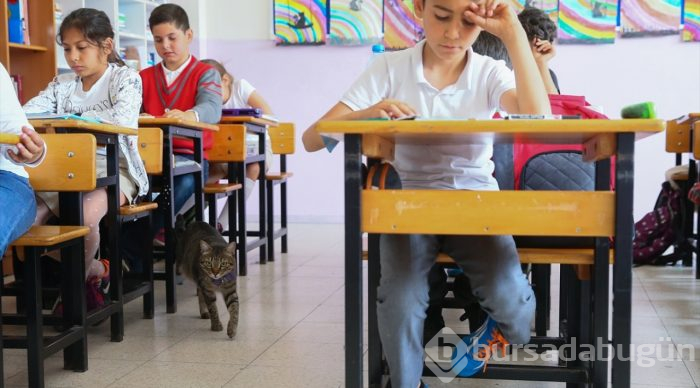 Öğrencilerin motivasyonu "Ateş" ile arttı
