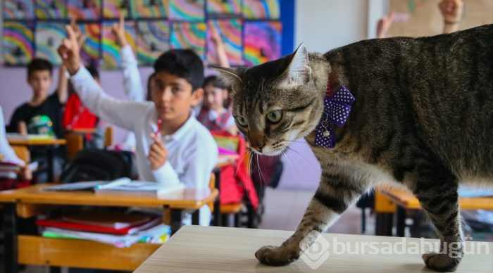Öğrencilerin motivasyonu "Ateş" ile arttı
