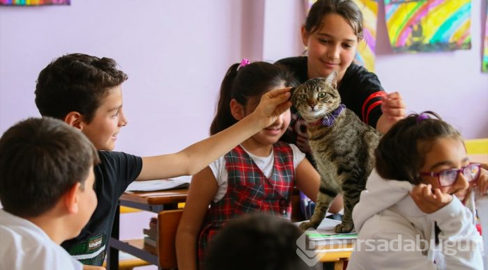 Öğrencilerin motivasyonu "Ateş" ile arttı
