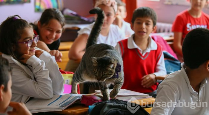 Öğrencilerin motivasyonu "Ateş" ile arttı
