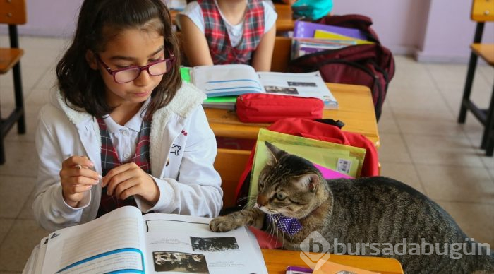 Öğrencilerin motivasyonu "Ateş" ile arttı
