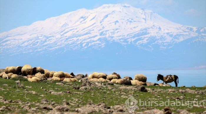 Zirveden doğaya kuş bakışı
