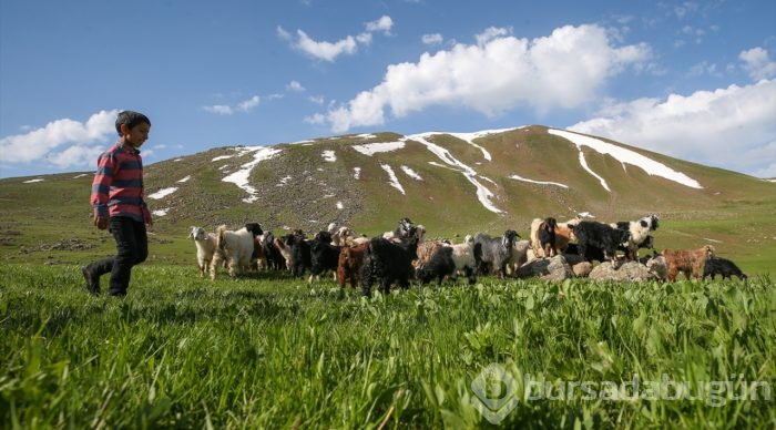 Zirveden doğaya kuş bakışı
