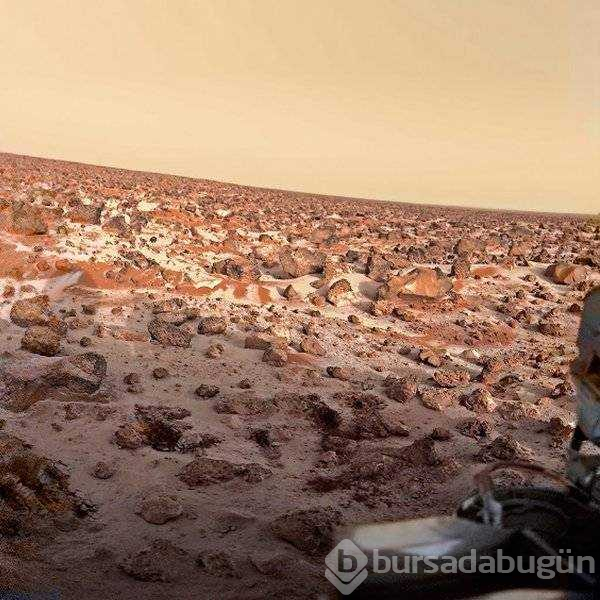 Günün en çok paylaşılan fotoğrafları (23.05.2019)
