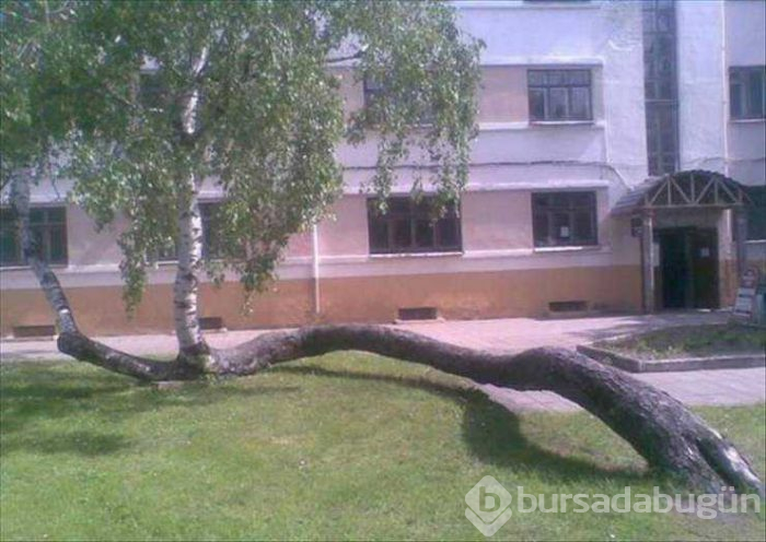 Günün en çok paylaşılan fotoğrafları (23.05.2019)