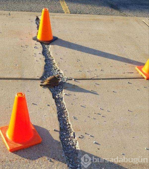 Günün en çok paylaşılan fotoğrafları (23.05.2019)