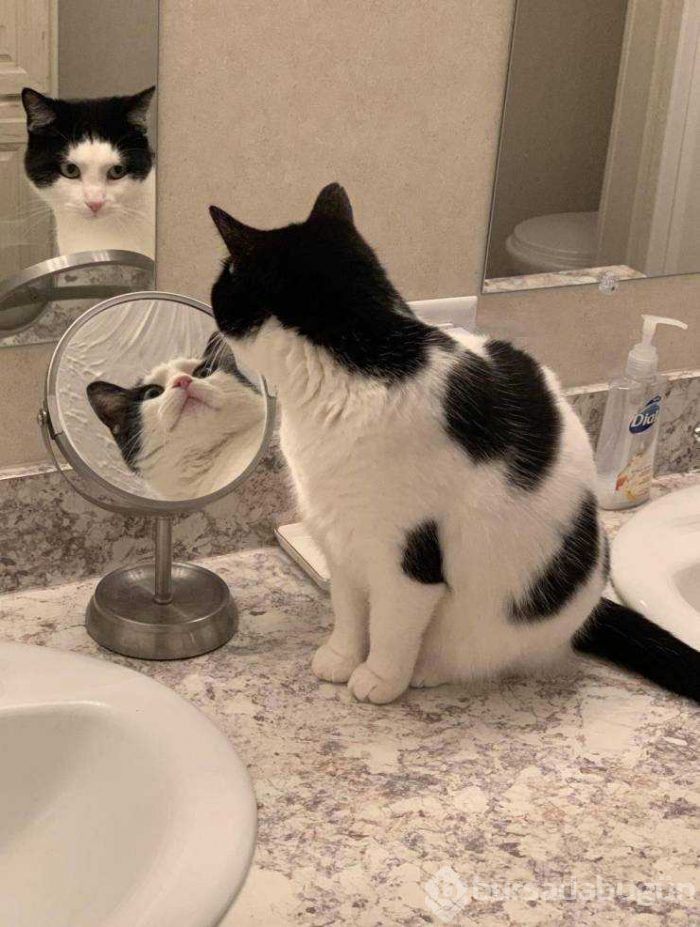 Günün en çok paylaşılan fotoğrafları (23.05.2019)