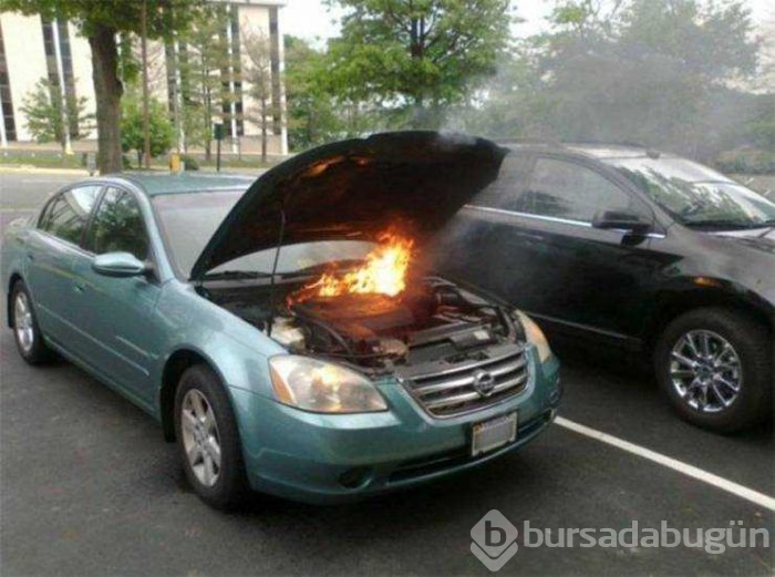 Günün en çok paylaşılan fotoğrafları (23.05.2019)