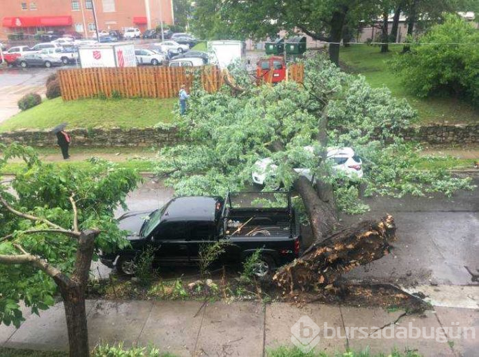 Günün en çok paylaşılan fotoğrafları (23.05.2019)
