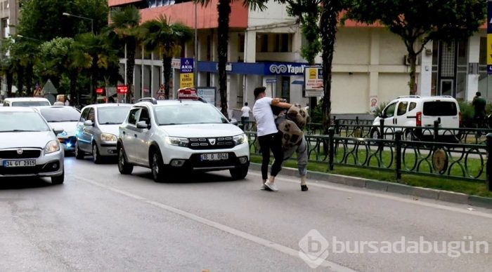 Kaplumbağa kostümüyle araçların önüne atladı