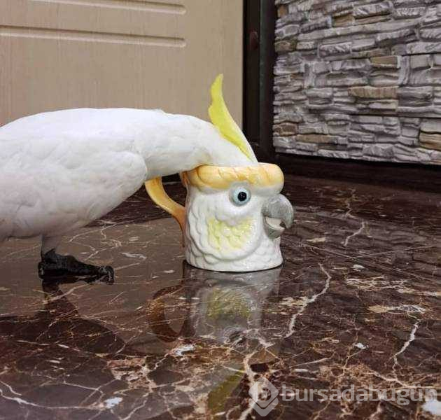 Günün en çok paylaşılan fotoğrafları (24.05.2019)