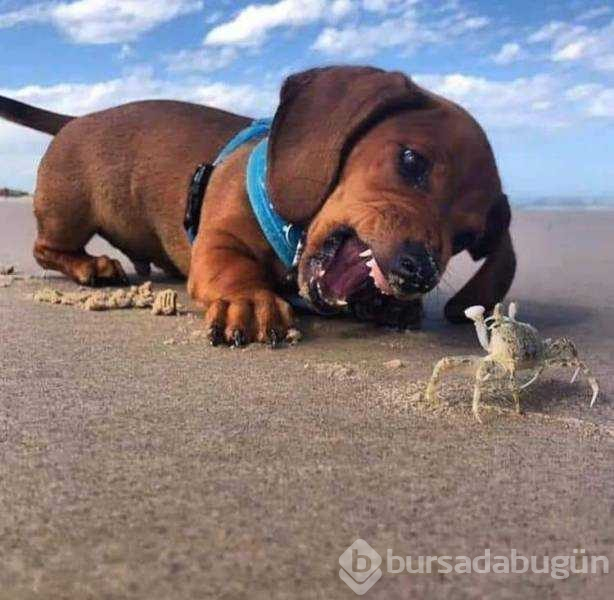 Günün en çok paylaşılan fotoğrafları (24.05.2019)