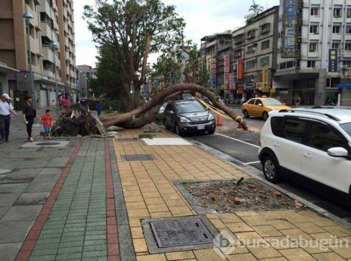 Günün en çok paylaşılan fotoğrafları (24.05.2019)
