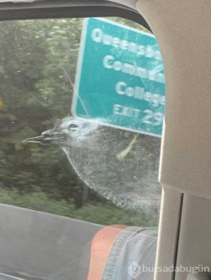Günün en çok paylaşılan fotoğrafları (24.05.2019)