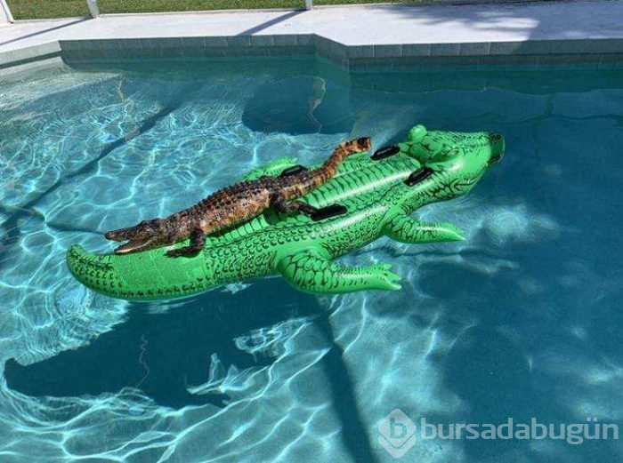 Günün en çok paylaşılan fotoğrafları (24.05.2019)
