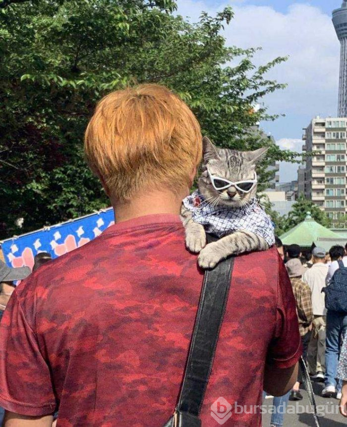 Günün en çok paylaşılan fotoğrafları (24.05.2019)