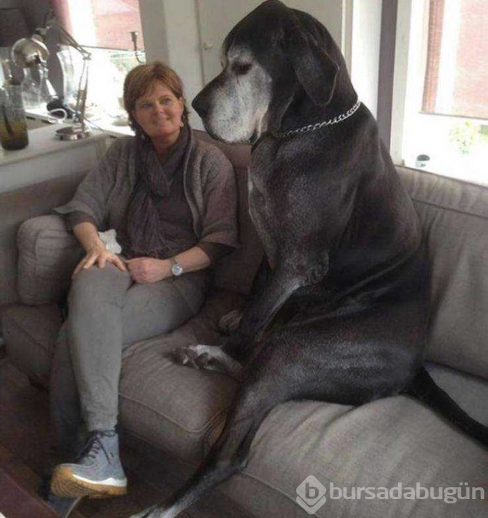 Günün en çok paylaşılan fotoğrafları (24.05.2019)