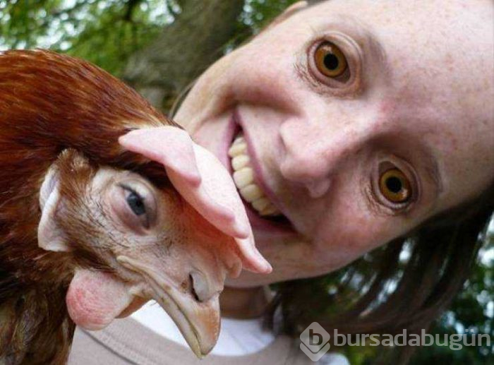 Günün en çok paylaşılan fotoğrafları (24.05.2019)