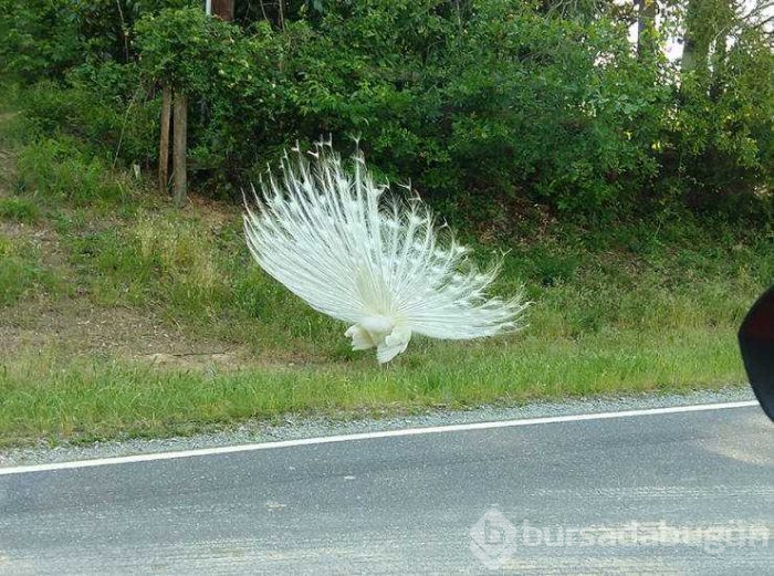 Günün en çok paylaşılan fotoğrafları (24.05.2019)