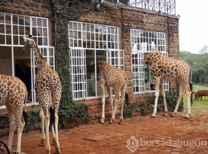 Günün en çok paylaşılan fotoğrafları (24.05.2019)