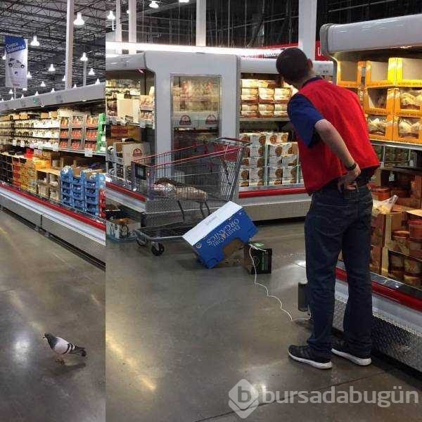 Günün en çok paylaşılan fotoğrafları (24.05.2019)