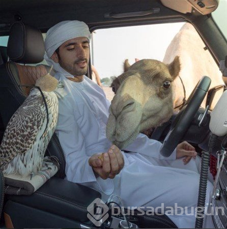 Dubai Prensi`nin çılgın fotoğrafları...