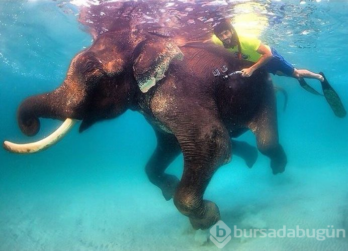 Dubai Prensi`nin çılgın fotoğrafları...