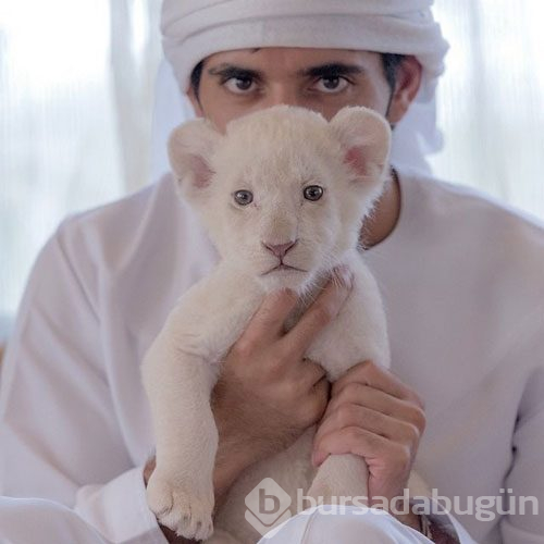Dubai Prensi`nin çılgın fotoğrafları...