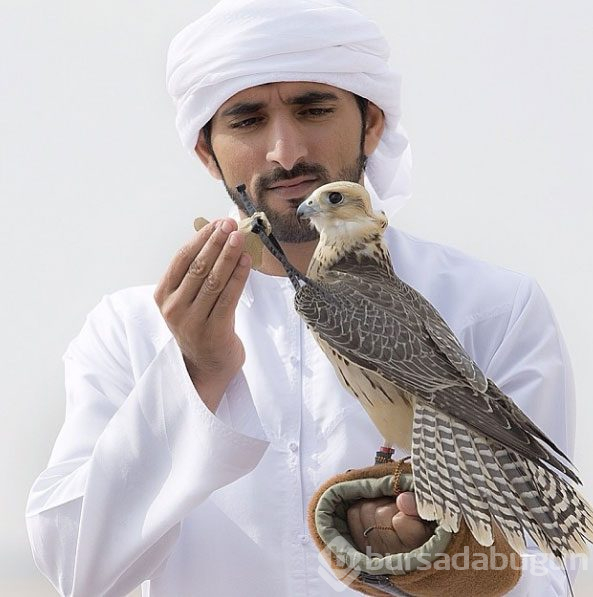Dubai Prensi`nin çılgın fotoğrafları...