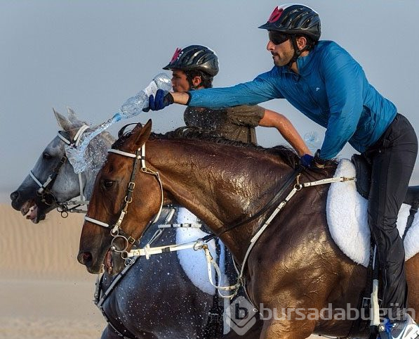 Dubai Prensi`nin çılgın fotoğrafları...